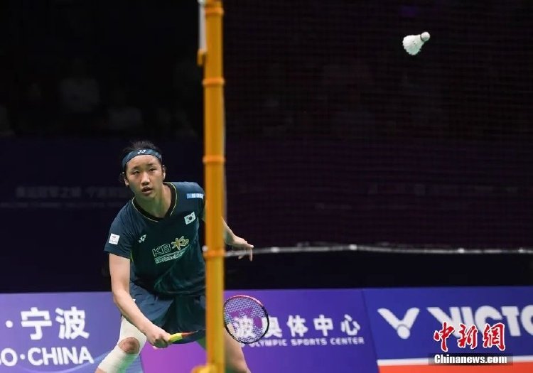 暴犯规领到 暴犯规领到